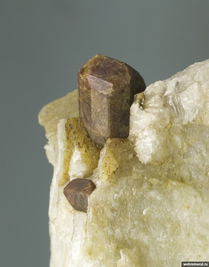 Фотография минерала Монацит-(Ce), Кварц. Лоухский район.