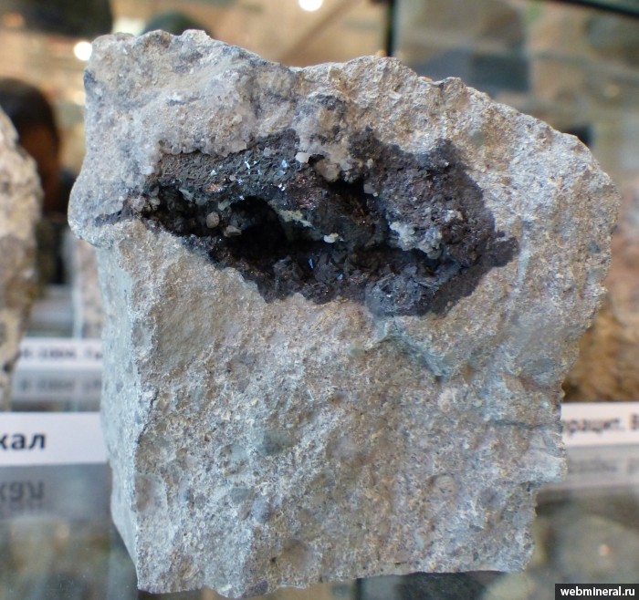 Фотография минерала Магнетит. Зарница кимберлитовая трубка.