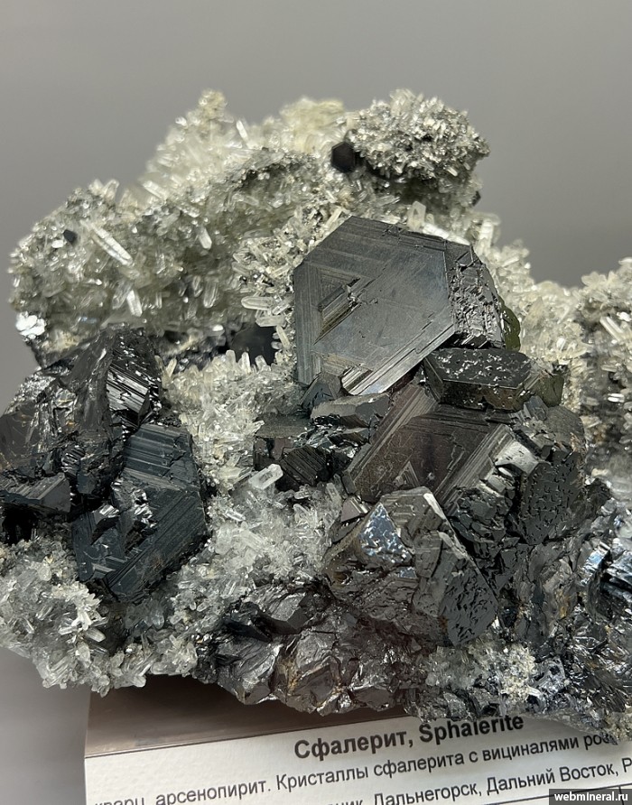 ���������� �������� ��������, �����. 2-� ��������� ������.