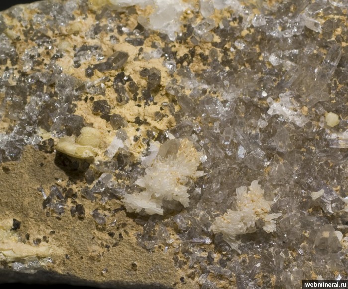 Фотография минерала Виитаньемиит, Кварц. Тигриное (Sn-W) месторождение.