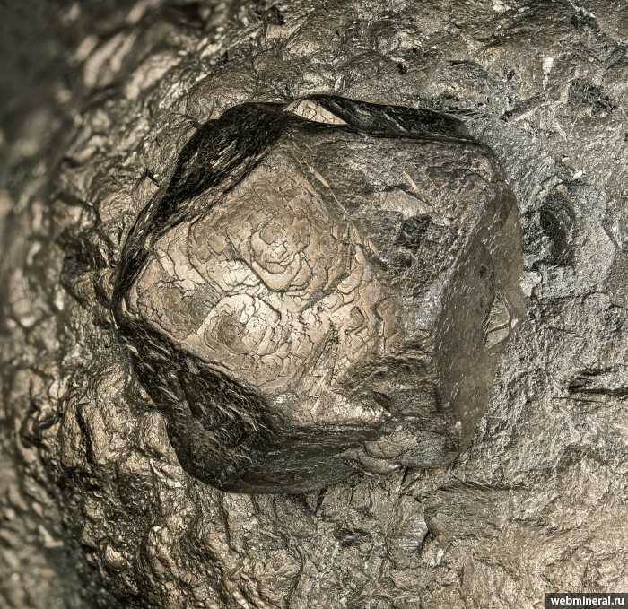 ���������� �������� �����. ��������� ����.