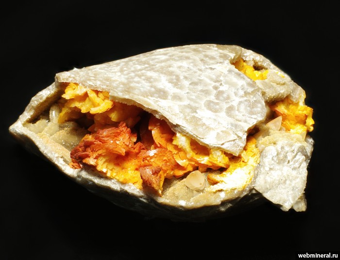 ���������� �������� �������, �������. ��������� �������.