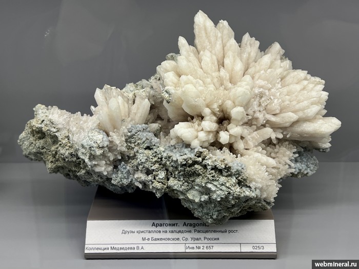 ���������� �������� ��������, ��������. ����������� �������������.