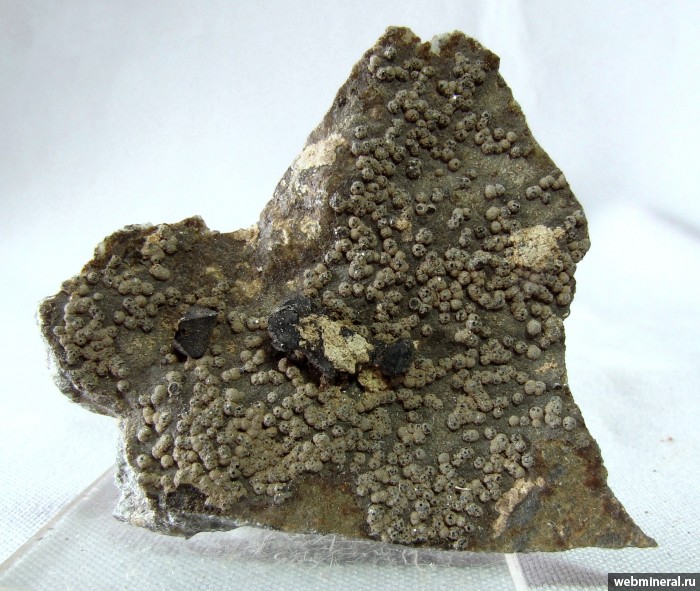 ���������� �������� �����������, ��������. ����-������������ (Ni) �������������.