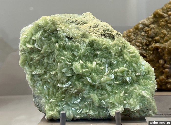 ���������� �������� �������. ���������� (Au) ������������� (������ ����).