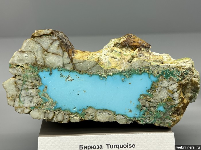 ���������� �������� ������, �����. ��������� �������������.