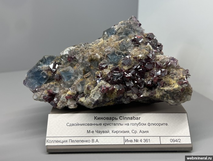 ���������� �������� ��������, �������, �����. ������ (Hg) �������������.