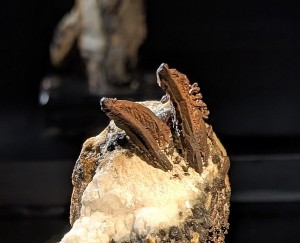 ����, �������. ���������� �������. �������� � �������������. webmineral.ru