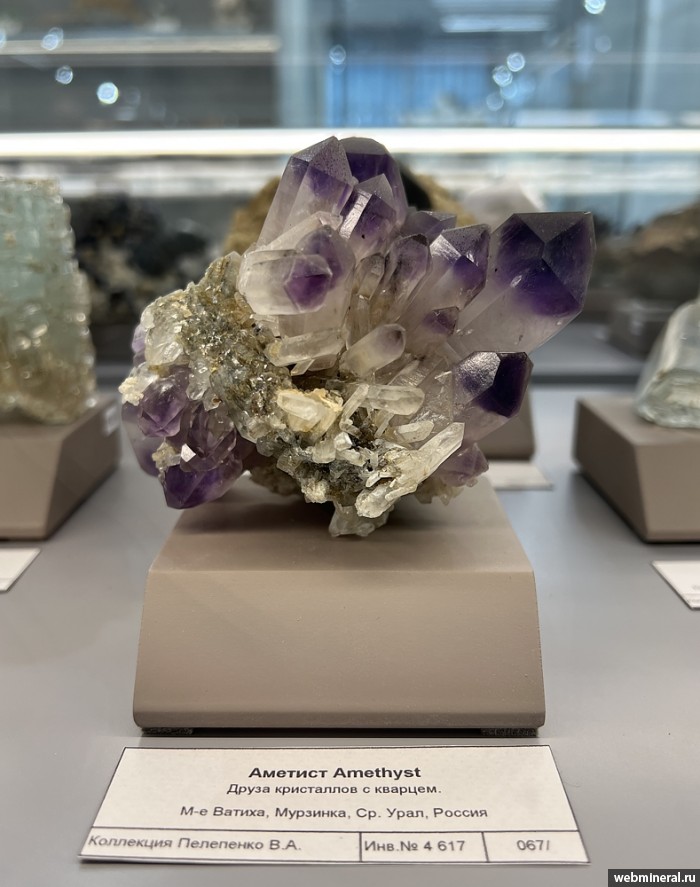 ���������� �������� ����� ����. (�������). ������ �������������.