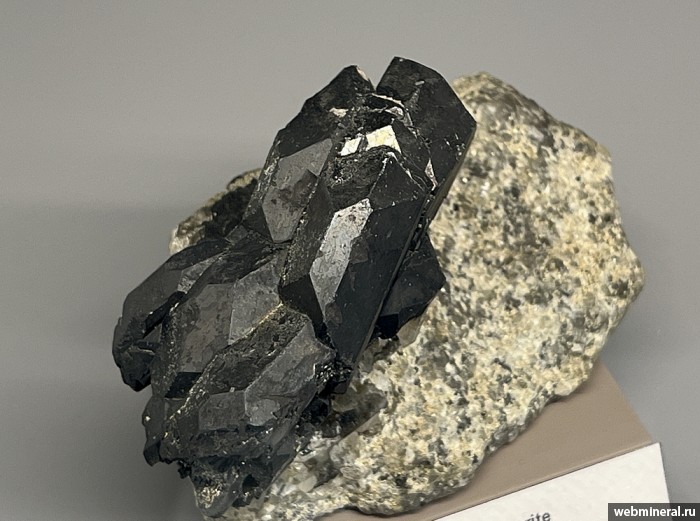 ���������� �������� ��������. ������� (W-Mo) �������������.