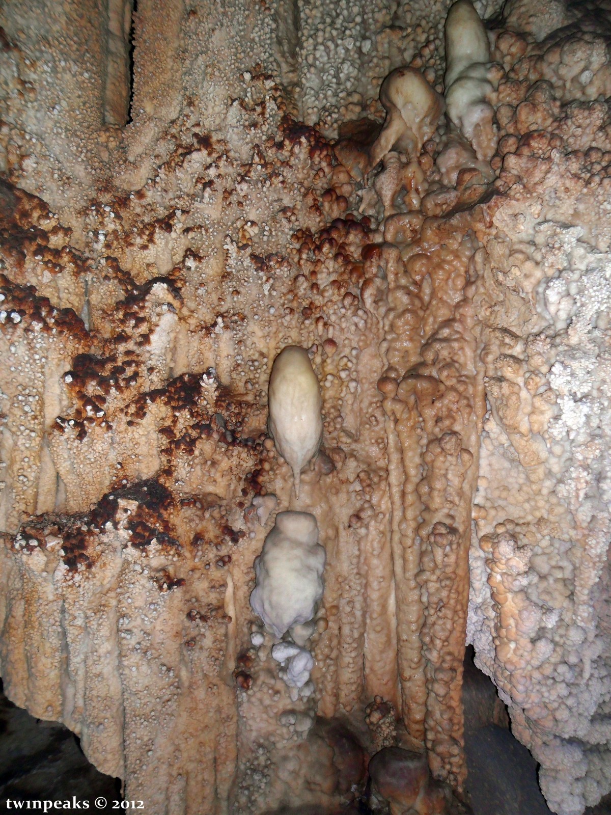 Натечная форма 'Мышь'. Фотография месторождения. Эмине-Баир-Хосар пещера, Республика Крым, Россия.