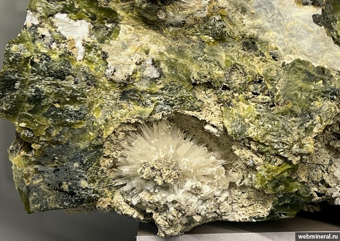 ���������� �������� ��������. ����������� �������������.