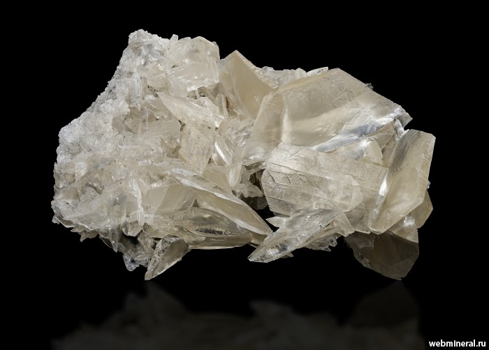 ���������� �������� ����. ����������� �����.