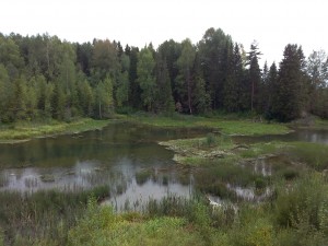   .  .   . webmineral.ru