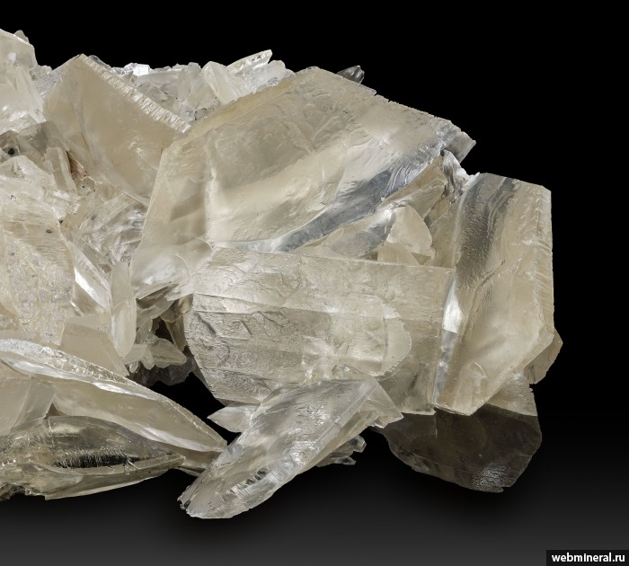 ���������� �������� ����. ����������� �����.