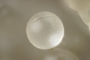  (. ). - .   . webmineral.ru