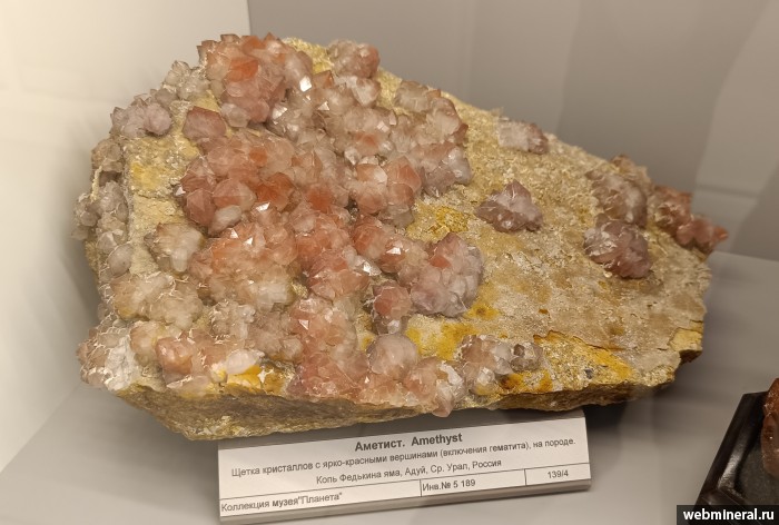 ���������� �������� ����� ����. (�������). ���� �������� ���.