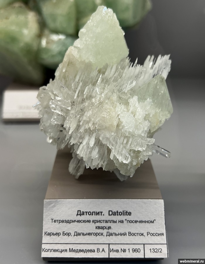 ���������� �������� �������, �����. ��� ������.