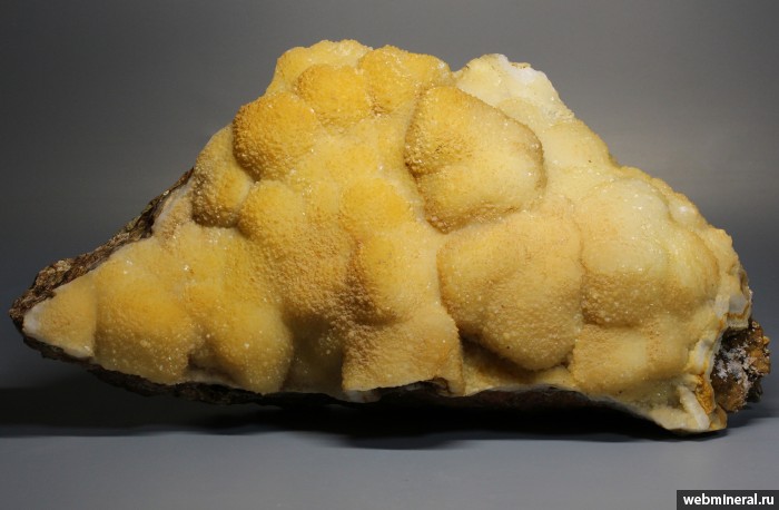 ���������� �������� �����, �������, ��������. ���������� ��������������� ������.