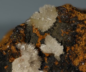 ����������. ������� (Pb-Zn) �������������. �������� � �������������. webmineral.ru