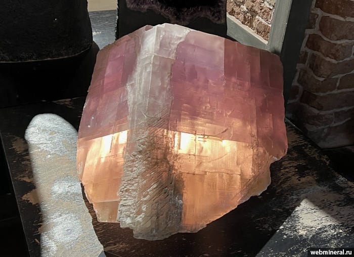 ���������� �������� �������. ���� �������������.