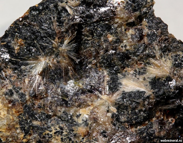 Фотография минерала Ринкит-(Y), Фторбритолит-(Ce) . Дугду массив.