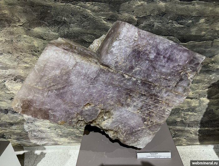 ���������� �������� �������. ���� �������������.