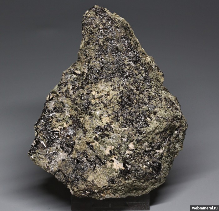 ���������� �������� ����������. ������ ������ ����.