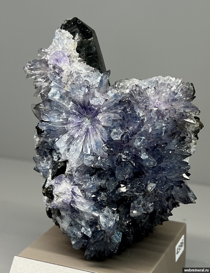 ���������� �������� ������, �����. ������� (W-Mo) �������������.