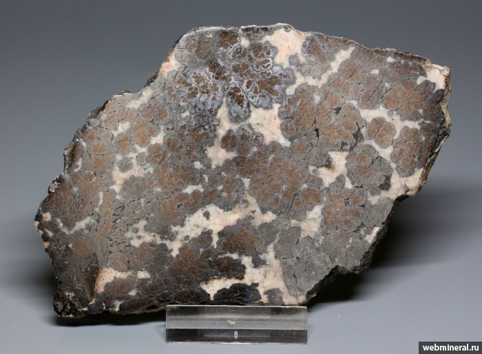 ���������� �������� �������. ����-���� (Co) �������������.