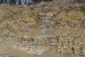 �������� �������������