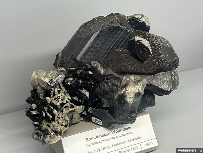 ���������� �������� ����������, �����. ������� (W-Mo) �������������.