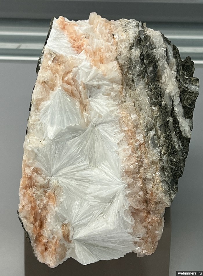 ���������� �������� �������. ���������� ������ ���� (����� ������).