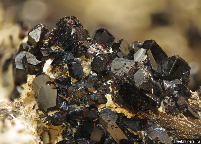 ���������� �������� ��������. �������� � 45.