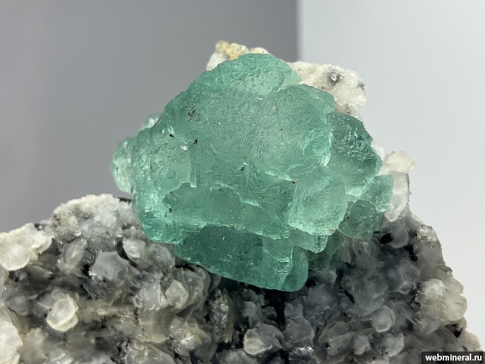 ���������� �������� �������, �������. 2-� ��������� ������.