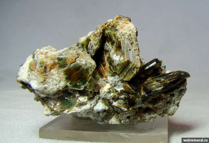 ���������� �������� ���������. �������-����������������� ����.