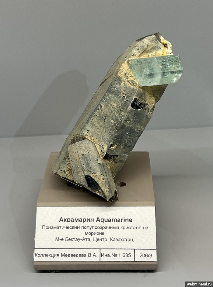 ���������� �������� ������, �����. ������-��� ������.