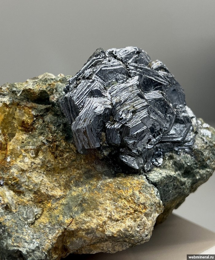 ���������� �������� ����������. ���������� ����.