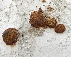 ��������� ����