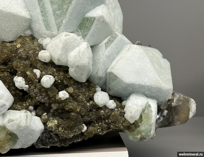 ���������� �������� �������, ���������. ��� ������.