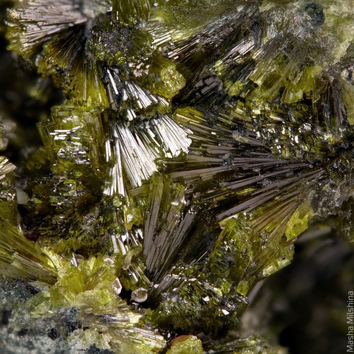 Фотография минерала Эпидот. Белая Гора месторождение.