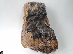 ø.  .   . webmineral.ru