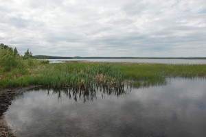 Озеро Окункуль. Окункуль озеро. Минералы и месторождения. webmineral.ru