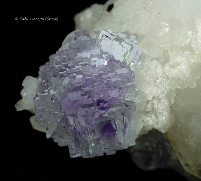 ���������� �������� �������, �������. Shangbao, Hunan, China (�����).