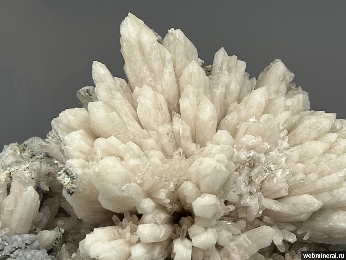 ���������� �������� ��������, ��������. ����������� �������������.