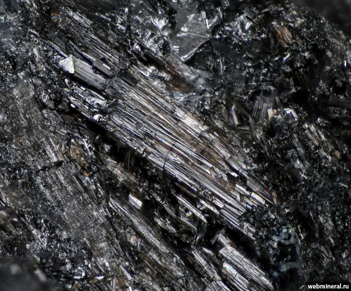 ���������� �������� ������. �������� �������.