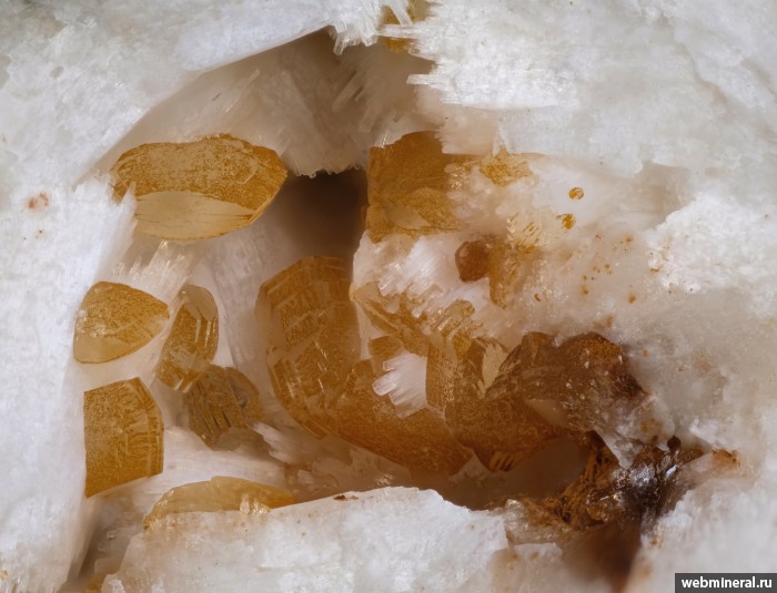 ���������� �������� �����, �������, ��������. ���� � 2.