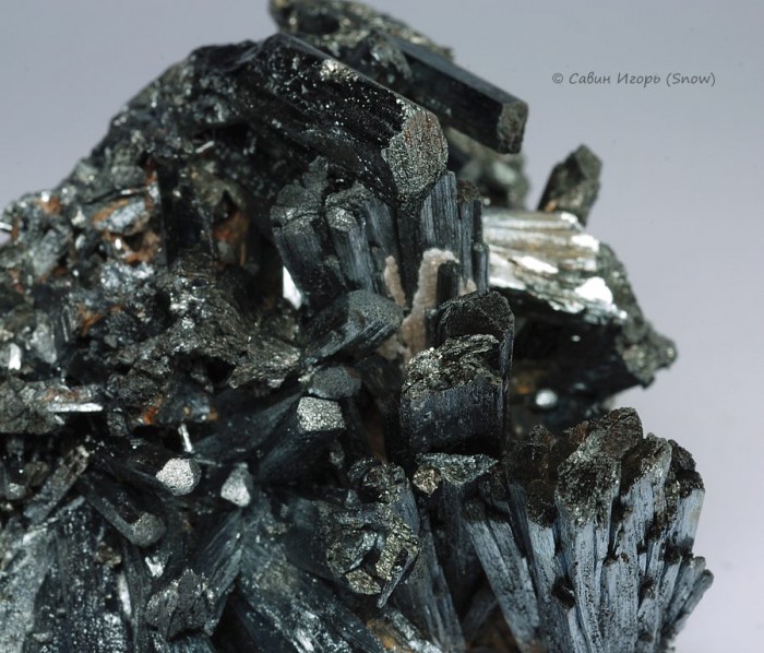 ���������� �������� ���������. Wuning, Jiangxi, China (�����).