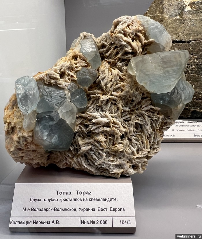 ���������� �������� �����, ������. �������� � 569 (���������).