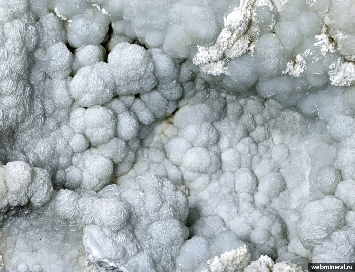 ���������� �������� �������� ����. (��������������). ������ ����������.